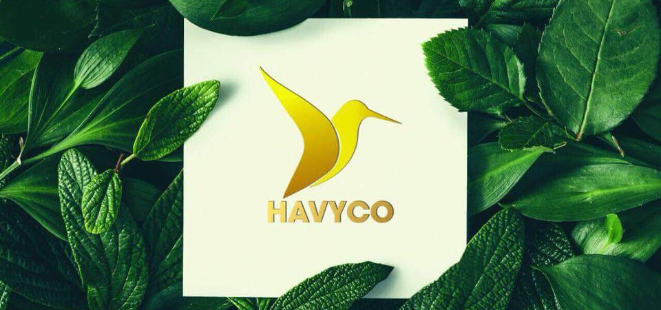 Trà giảm cân Vy Tea (500.000đ)